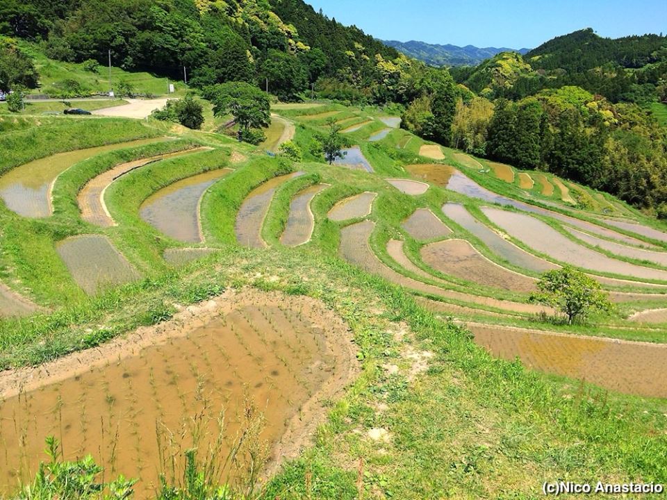 Oyama Senmaida Rice Terraces In Kamogawa City Chiba Prefecture A Balance Of Nature And Man Biyaheng Juan Sided